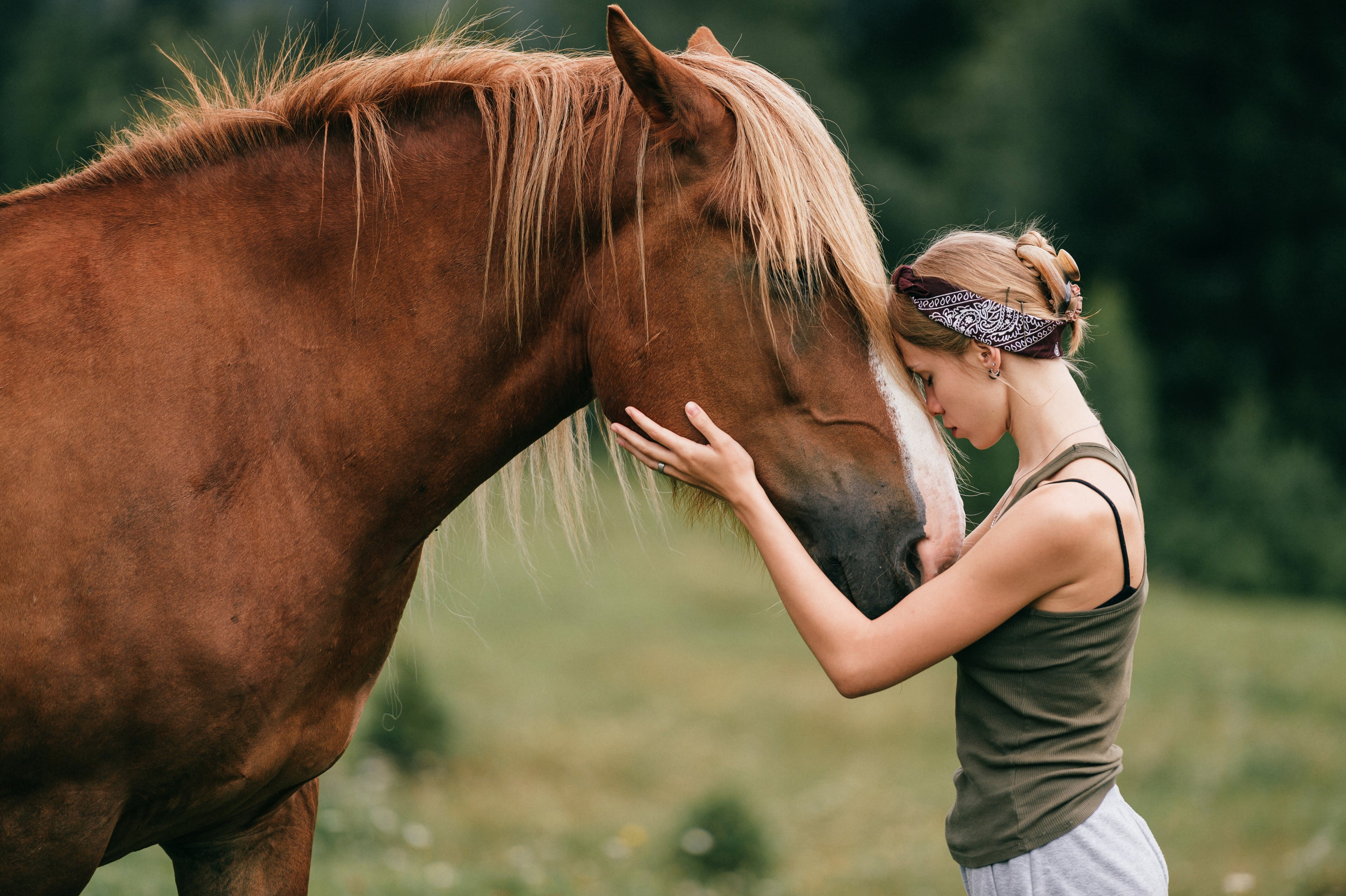 Lovas életstílus és wellness